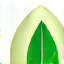 친환경 인증 로고